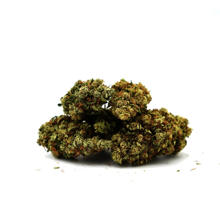 Banana Cream CBG Greenhouse