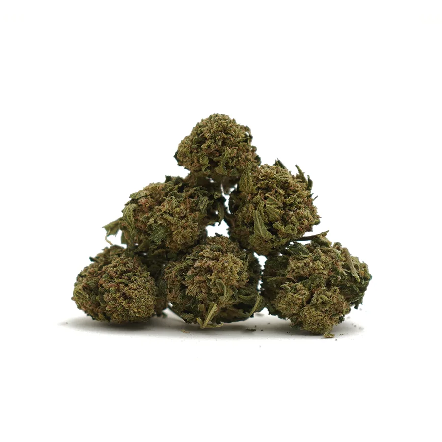 Cali Grape Indoor