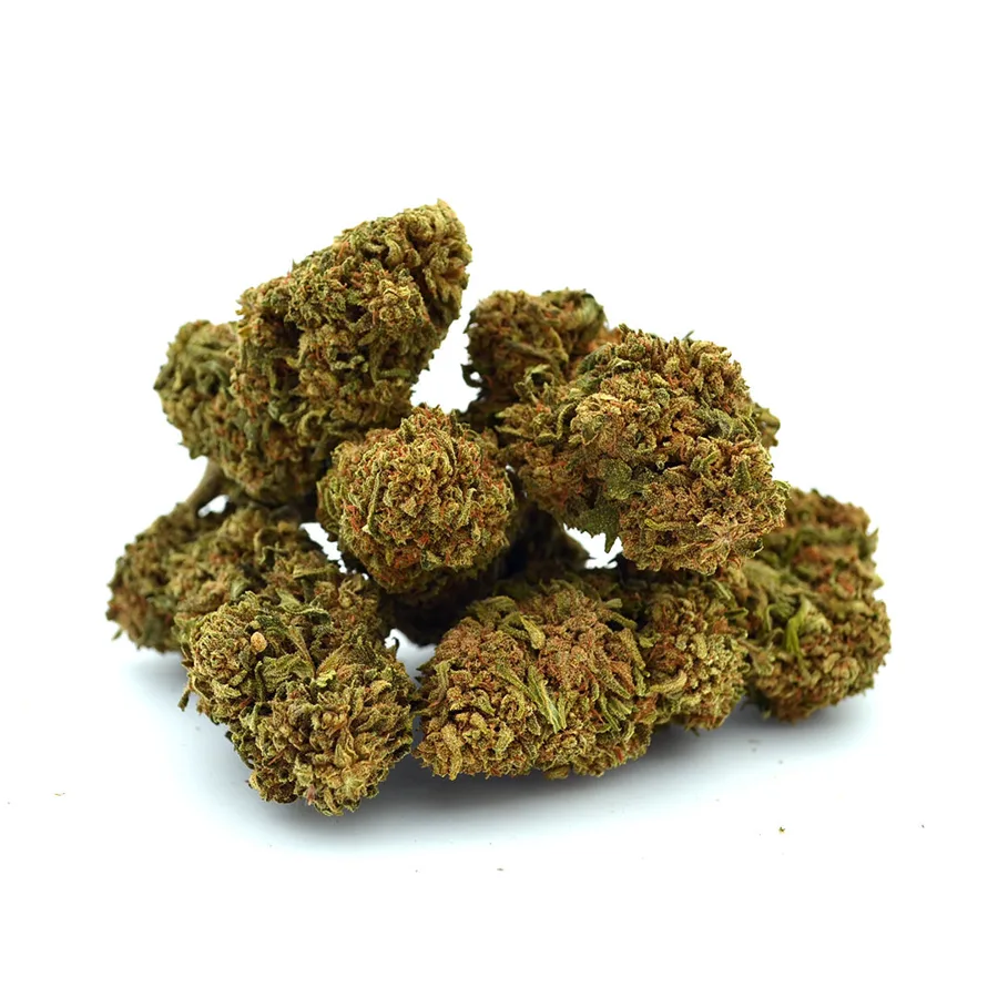 Critical Indoor