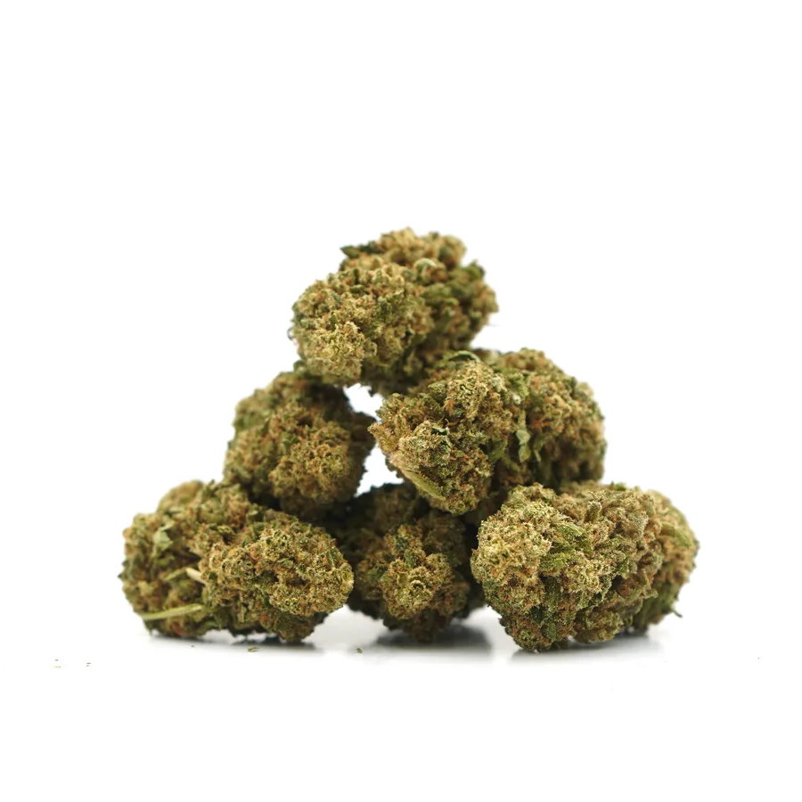 Gelato Indoor