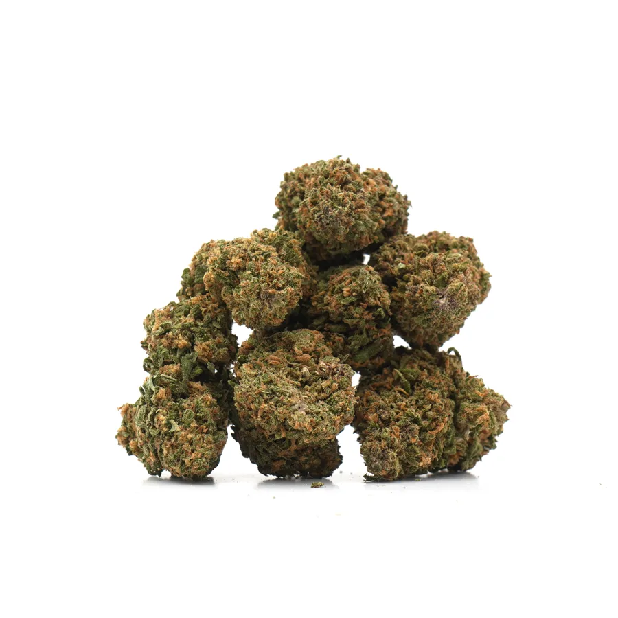 Tropical Haze Indoor