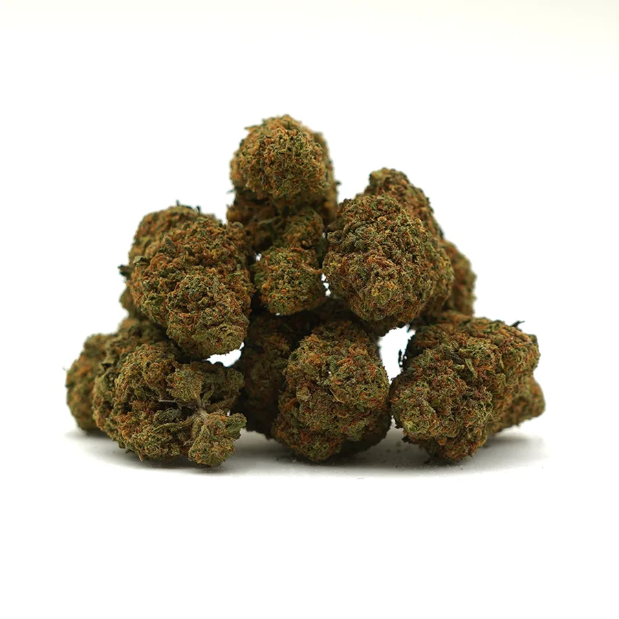 White Widow Indoor